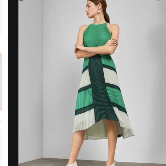Ted Baker London Dresses & Skirts - Ted Baker 3 nellina pleated  dress 8 green